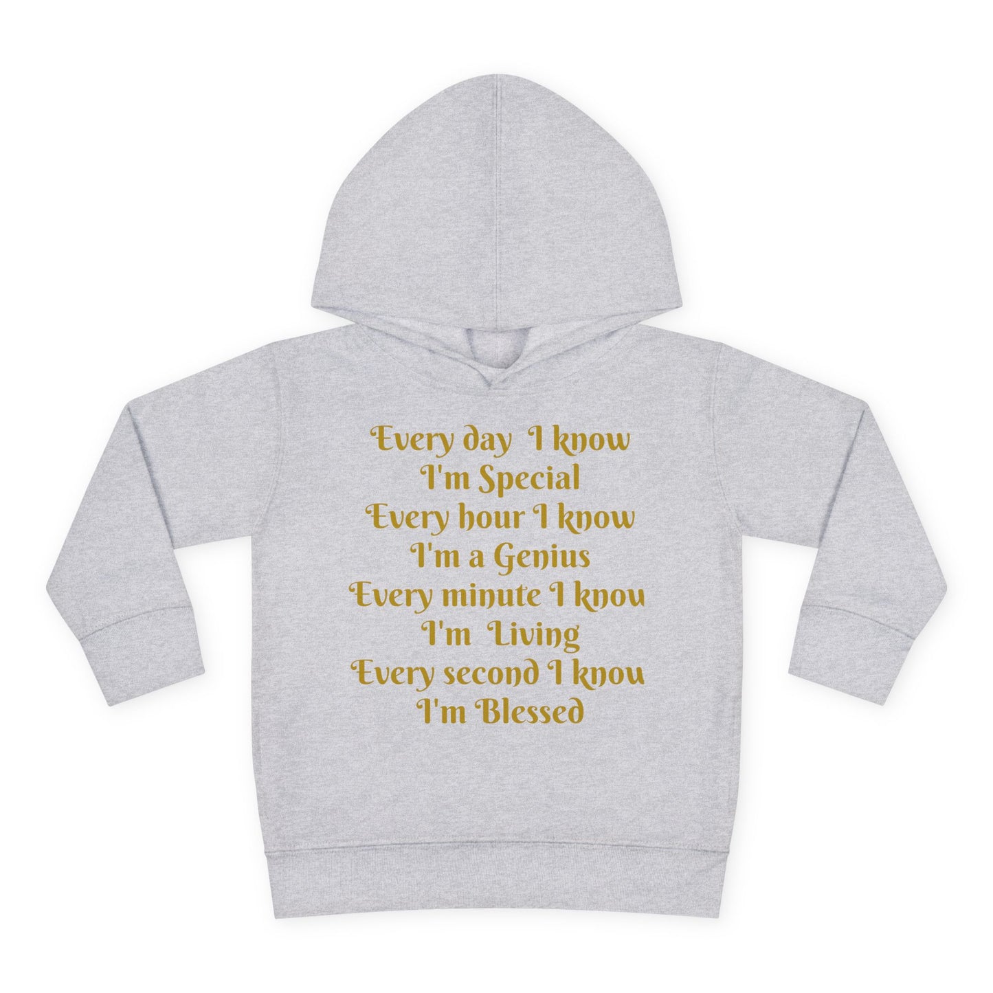 HLE Toddler Fleece Hoodie - Inspirational Design
