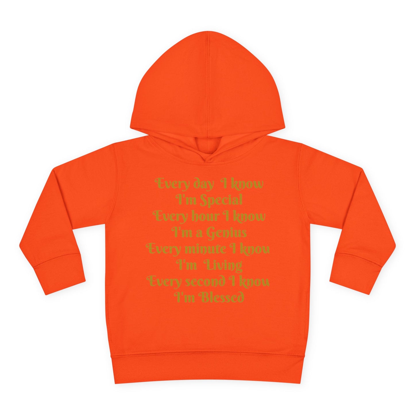 HLE Toddler Fleece Hoodie - Inspirational Design