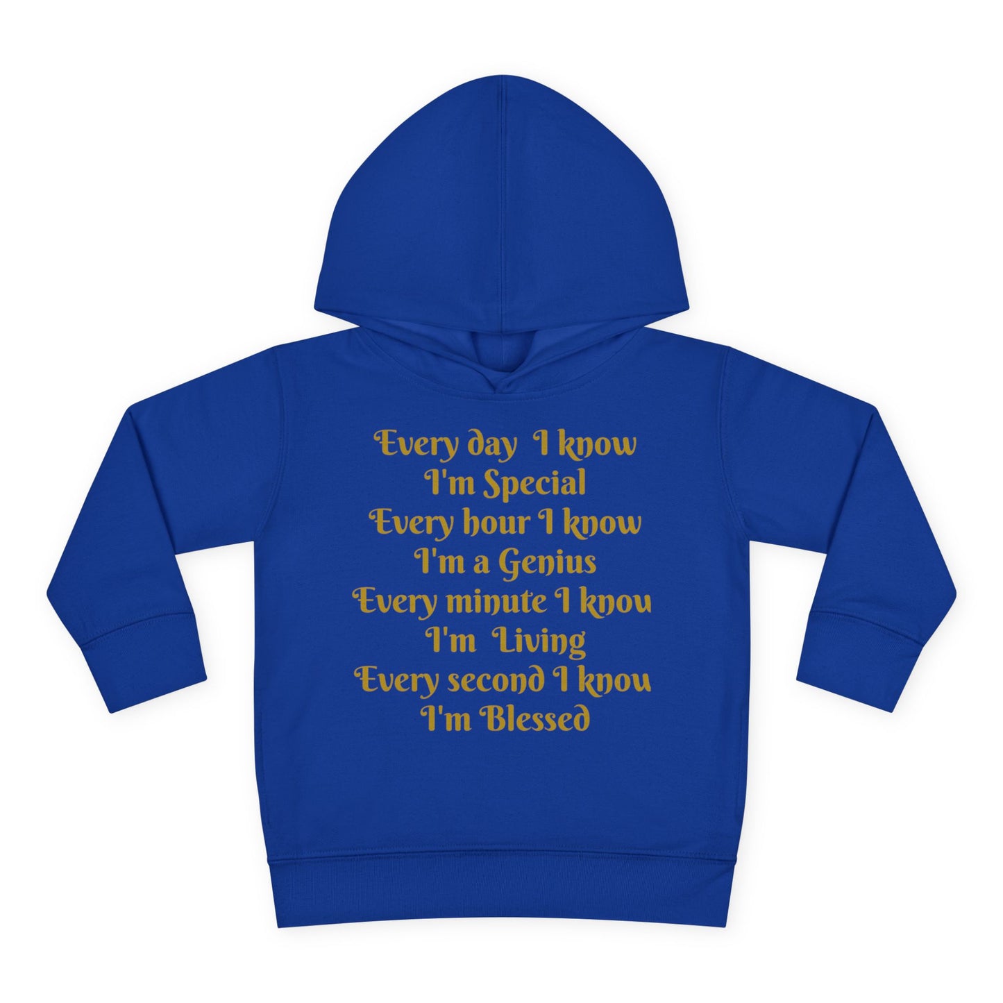 HLE Toddler Fleece Hoodie - Inspirational Design