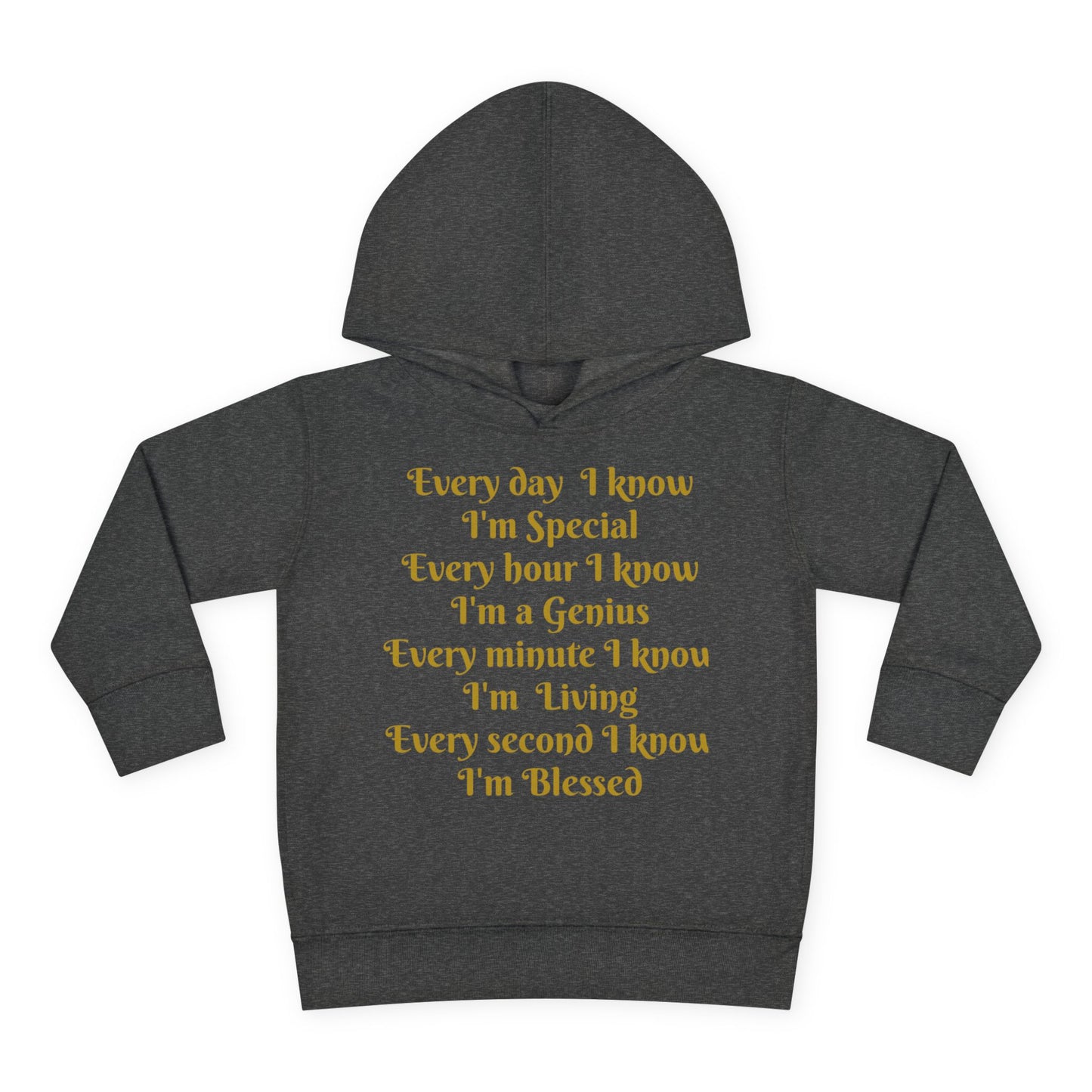 HLE Toddler Fleece Hoodie - Inspirational Design