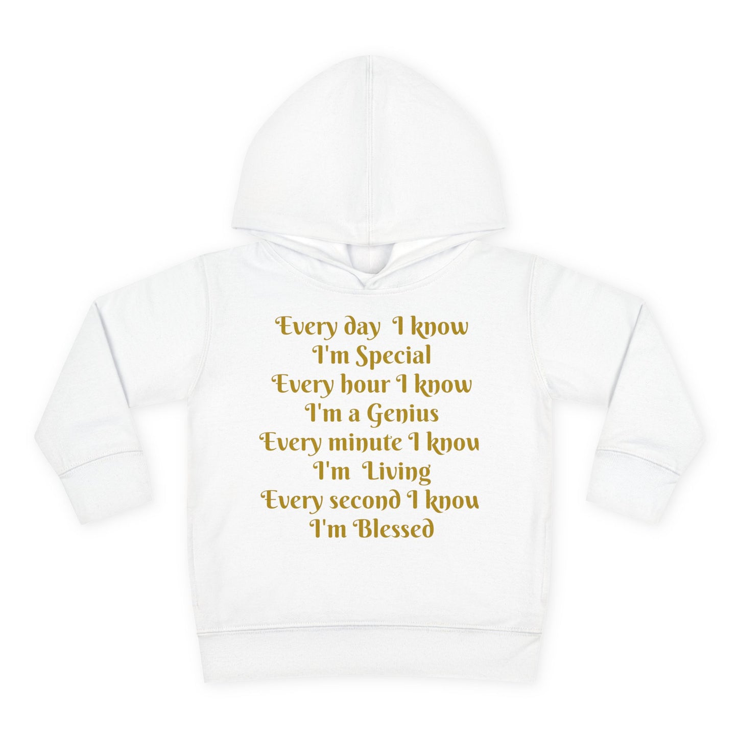 HLE Toddler Fleece Hoodie - Inspirational Design