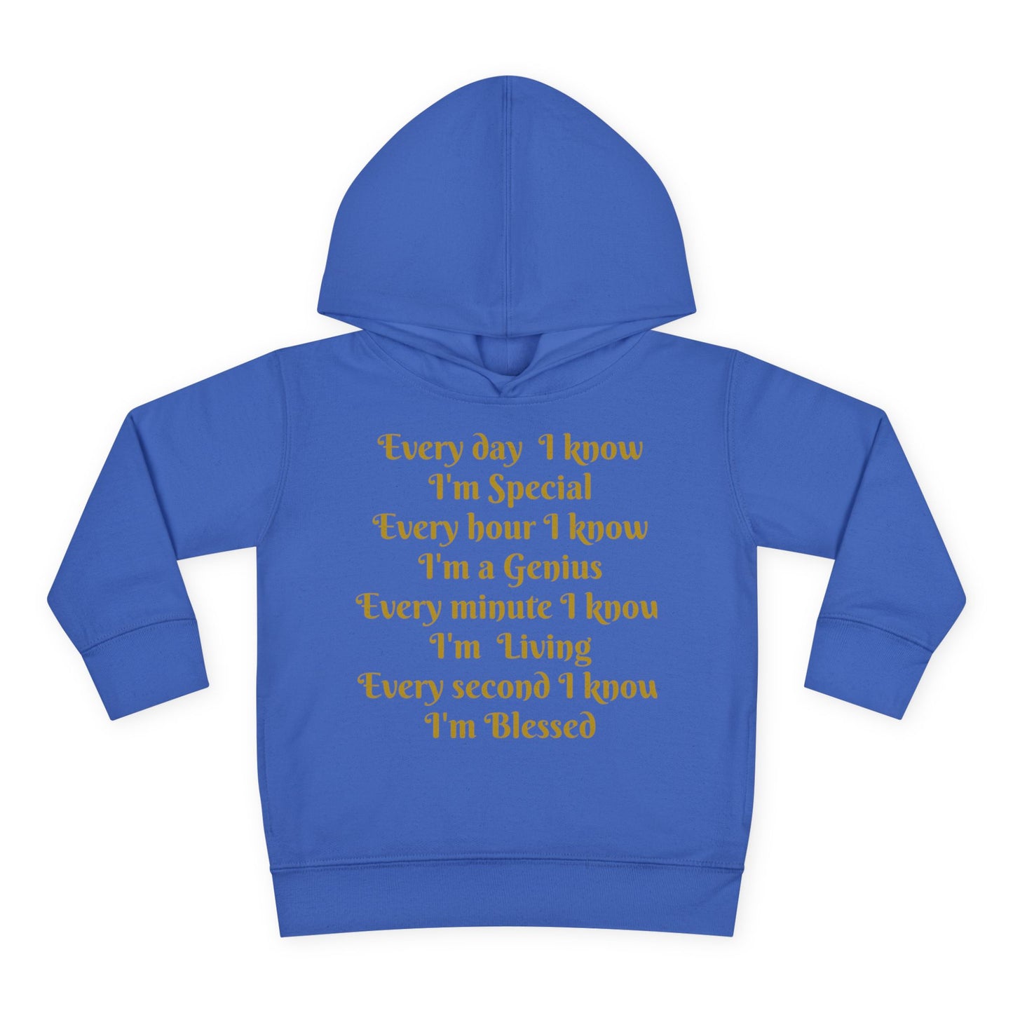 HLE Toddler Fleece Hoodie - Inspirational Design