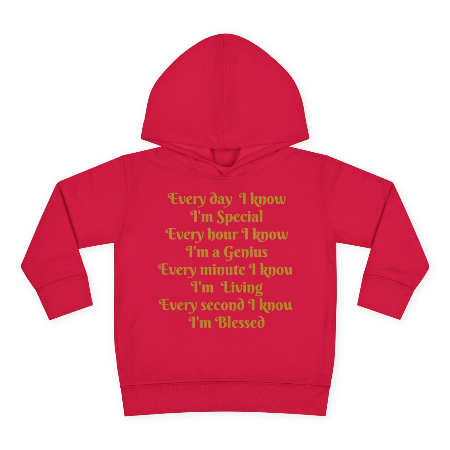 HLE Toddler Fleece Hoodie - Inspirational Design