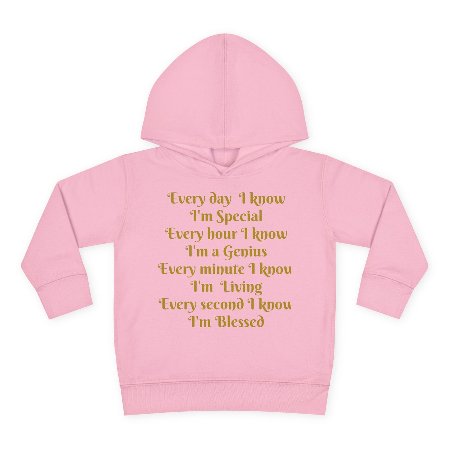 HLE Toddler Fleece Hoodie - Inspirational Design
