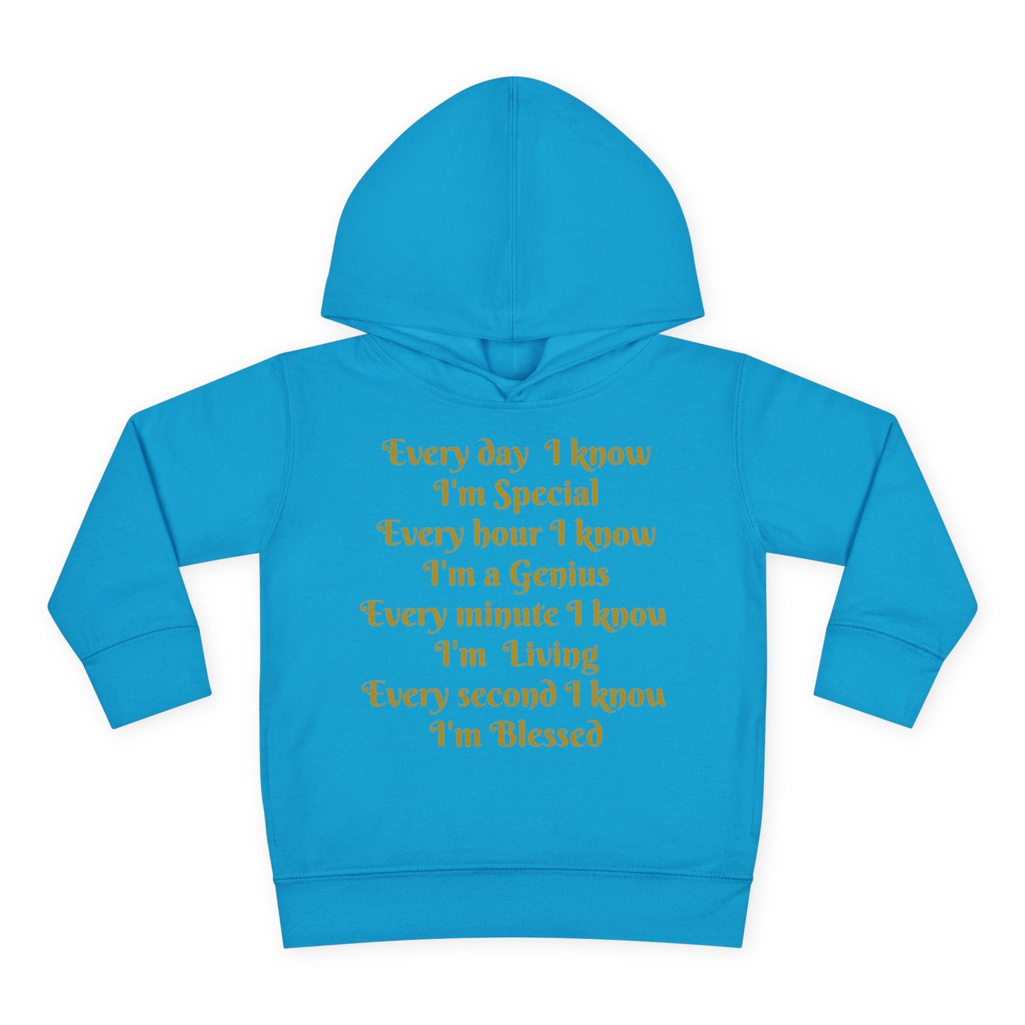 HLE Toddler Fleece Hoodie - Inspirational Design