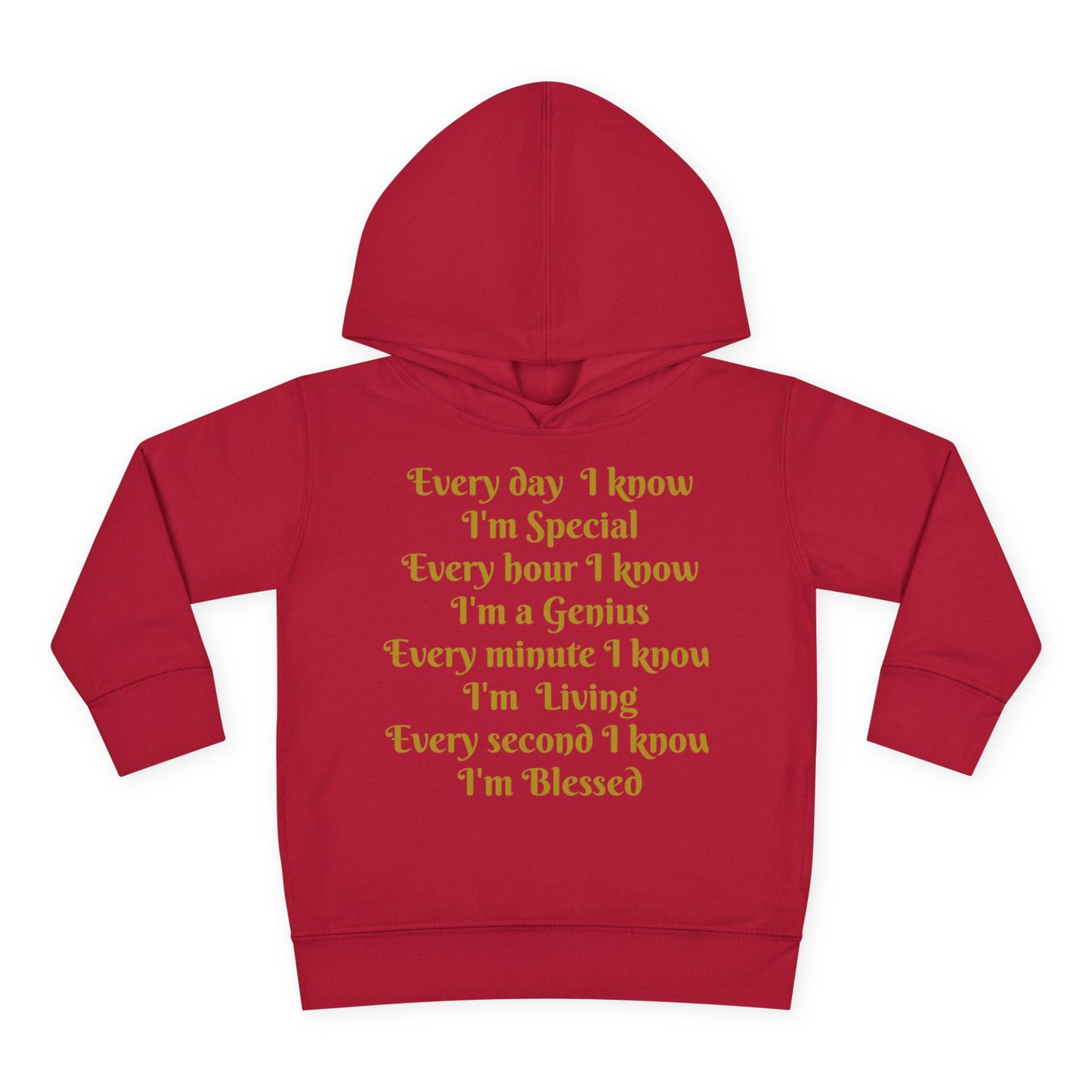 HLE Toddler Fleece Hoodie - Inspirational Design