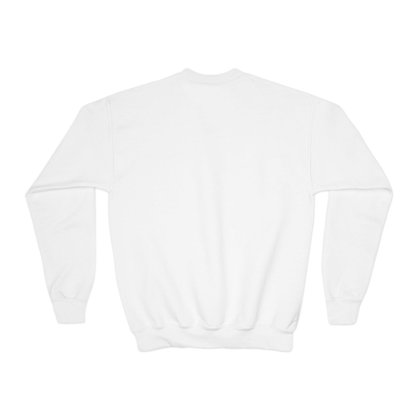 Sudadera de cuello redondo para jóvenes: diseño acogedor y divertido para niños