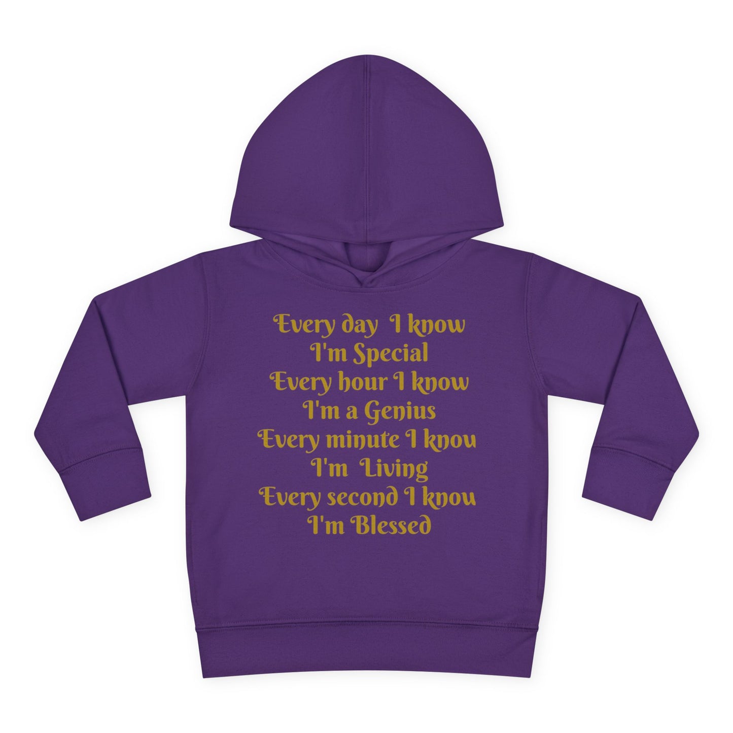 HLE Toddler Fleece Hoodie - Inspirational Design