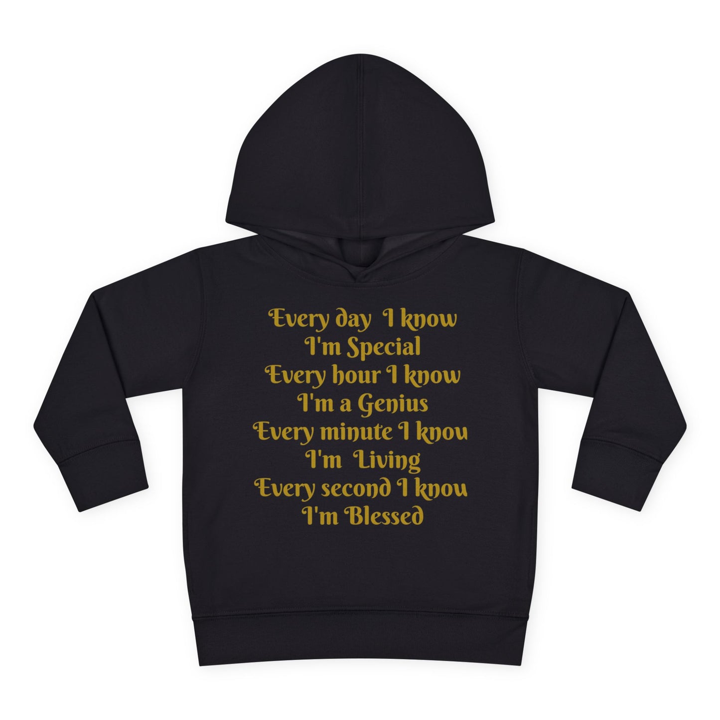 HLE Toddler Fleece Hoodie - Inspirational Design