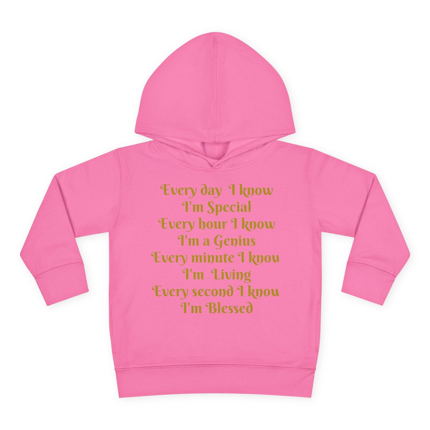 HLE Toddler Fleece Hoodie - Inspirational Design